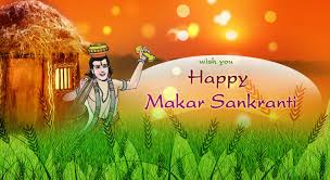 Image result for images of sankranthi