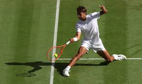 Trend Google: berrettini