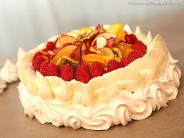 Image result for pavlova