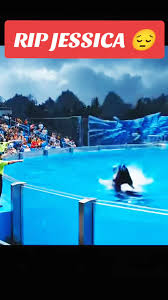 ripjessica #videoviral #trendingvideo | TikTok