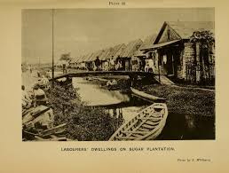 Image result for GUYANA INDENTURED INDIANS