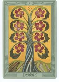 Bildergebnis für crowley tarot cards