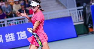 Top points: Serbia's Danilovic makes first hard-court final in Guangzhou