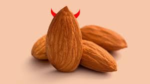 Image result for almonds