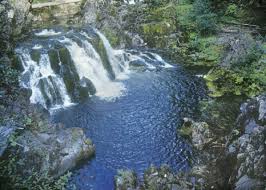 Image result for opal pool