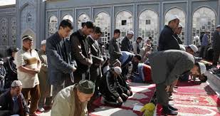 tacikistan camileri ile ilgili görsel sonucu
