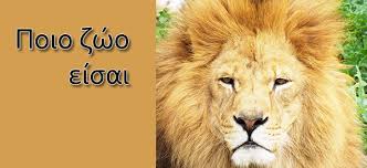 Αποτέλεσμα εικόνας για Κουίζ: Ποιο ζώο είσαι;