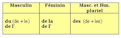 Resultado de imagen de les articles partitifs