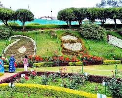 Image of Government Rose Garden Ooty