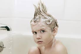 images?q=tbn:ANd9GcSx4F8qonJTjjI7DyOrNhL