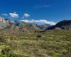 Image of Texas landscape