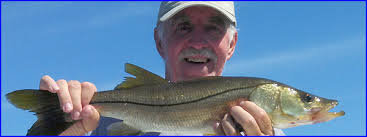 Anna Maria Island Fishing Report: Captain Aaron Lowman-09-25-2013 - Bill_Lowman-Snook-600x225