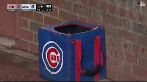 Rat at Wrigley Field!