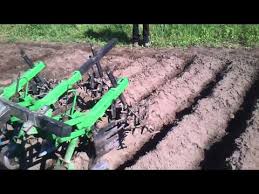 Résultat de recherche d'images pour "row of hedgehogs"