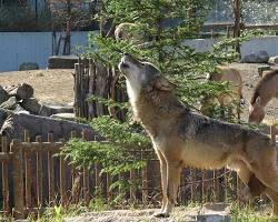 多摩動物公園（東京都日野市）の画像