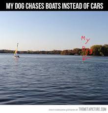 Funny Boat Quotes. QuotesGram via Relatably.com