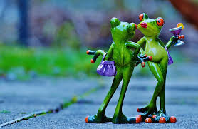 Image result for frogs