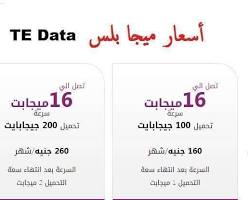 صورة باقة سرعة 200 ميجابت من تى اى داتا