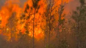 Over A Week Later, Georgia’s Pineland Road Fire Still Burns