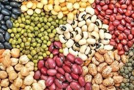قیمت لوبیا چیتی ارزان شد