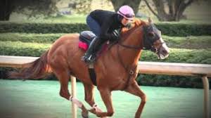Image result for hats kentucky derby images 2016 ago