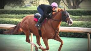 Image result for hats kentucky derby images 2016 ago