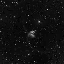 Image result for ngc 4038