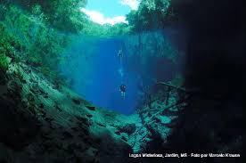 Afbeeldingsresultaat voor bonito brazil