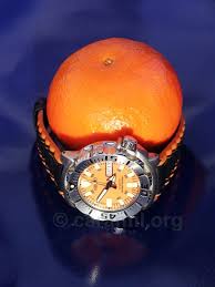 Image result for orange monster