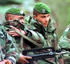Image result for World Foreign Legions