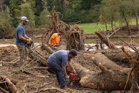 It has been nearly two weeks since Helene tore through Asheville and we'd like to provide an update to all the generous donors that graciously supported our community through the GoFundMe campaign