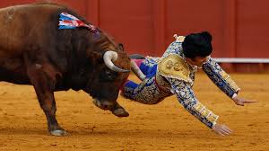 Legendary matador suffers gruesome injury after bull goring comeback