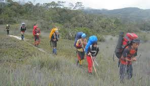 Hasil gambar untuk pecinta alam indonesia