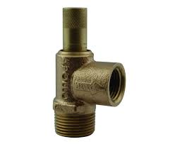 Apollo Bronze Safety Relief Valve, 50 psig, 1/2″ (MNPT x ...