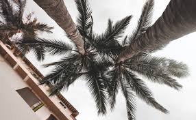 Mar de Fondo pone en alerta las costas de México; así estará el clima en Puerto Vallarta