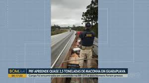 PRF apreende quase 2,5 toneladas de maconha em Guarapuava