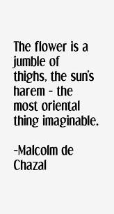 malcolm-de-chazal-quotes-5900.png via Relatably.com