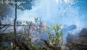 Firefighters extinguish two fires in Chernobyl zone, contain last hotspot