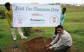 Image result for Tree plantation