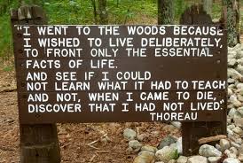 Image result for thoreau quote