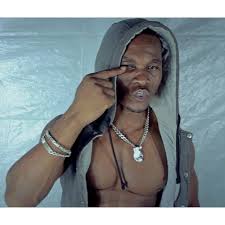 Image result for Zola  D