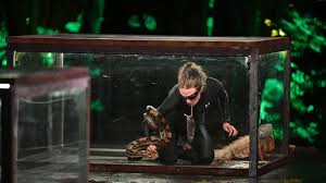 fear factor house of fear: contestants recount snake tanks, rodent mouth-passes and life after the show