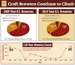 Insights Analysis - Brewers Association