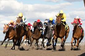 MEDIA ADVISORY: Meet The King’s Plate Horses Tomorrow at Woodbine