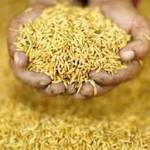 crushes India's expectations better food