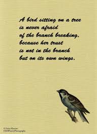 A Bird Sitting On a Tree Quote-Inspirational Quotes-Erica Massaro ... via Relatably.com