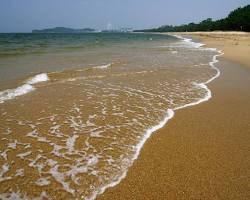 生の松原海岸の松林と砂浜の画像