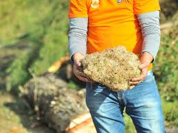 Defesa Civil aponta risco de tempestades na metade Sudoeste do RS