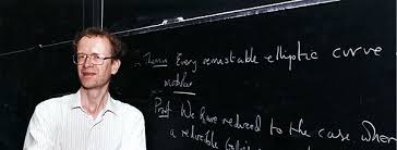 Image result for andrew wiles