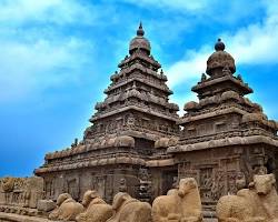 Image of Dakshinachitra in Mahabalipuram